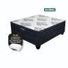 Picture of Restonic Odyssey 152cm Queen Firm Base Set